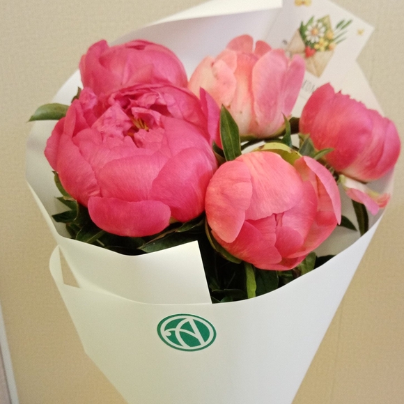 Букет из 5 коралловых пионов (Голландия)
