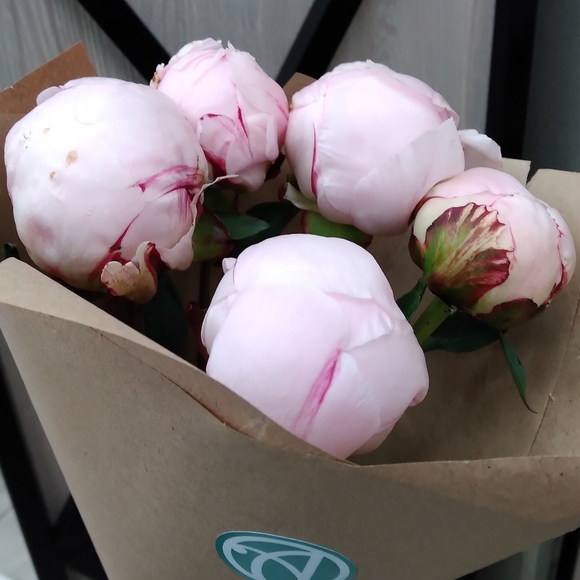 Букет из 5 розовых пионов (Голландия)