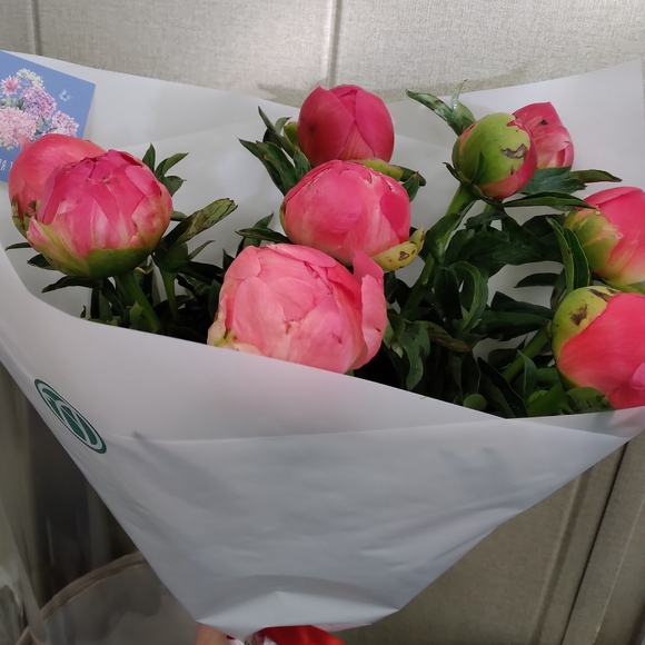 Букет из 9 коралловых пионов (Голландия)