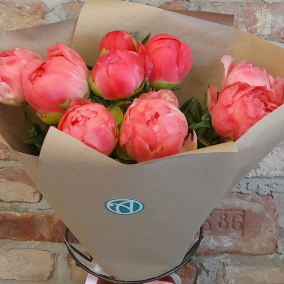 Букет из 9 коралловых пионов (Голландия)