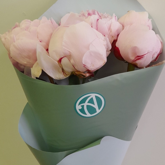Букет из 5 розовых пионов (Голландия)