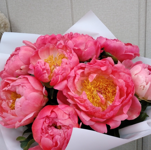 Букет из 9 коралловых пионов (Голландия)