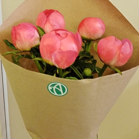 Букет из 5 коралловых пионов (Голландия)