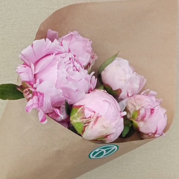 Букет из 5 розовых пионов (Голландия)
