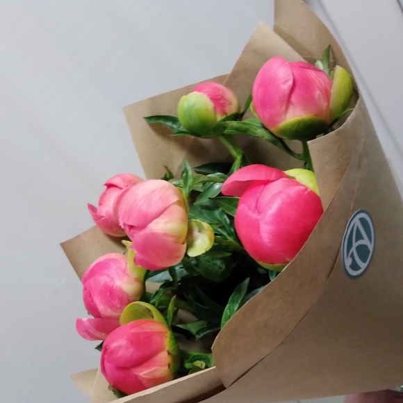 Букет из 7 коралловых пионов (Голландия)