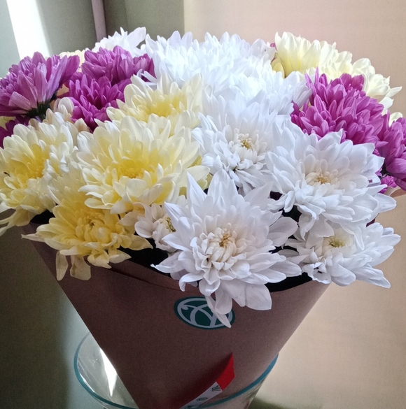 Букет из 9 кустовых хризантем микс
