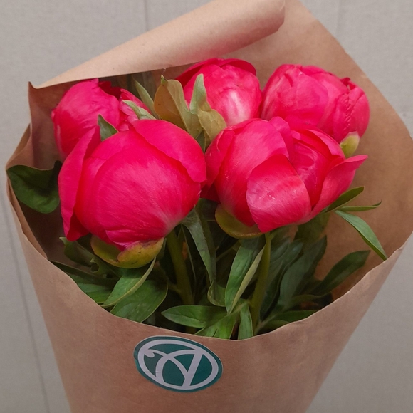 Букет из 5 коралловых пионов (Голландия)