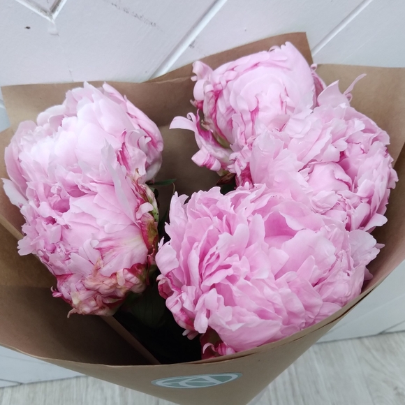 Букет из 5 розовых пионов (Голландия)