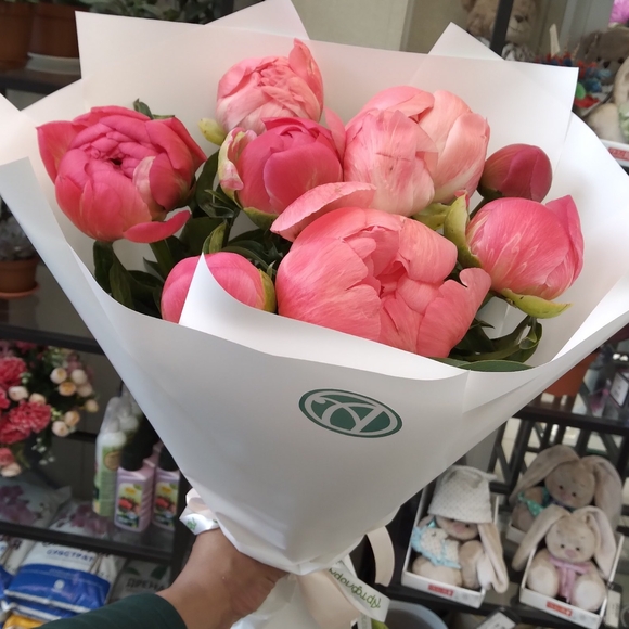 Букет из 9 коралловых пионов (Голландия)