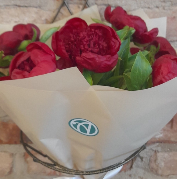 Букет из 7 бордовых пионов (Россия)