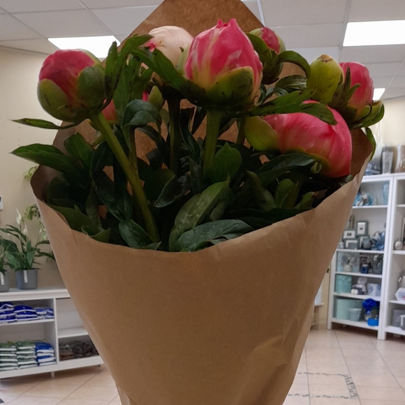 Букет из 7 коралловых пионов (Голландия)