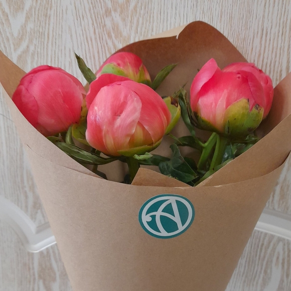 Букет из 5 коралловых пионов (Голландия)