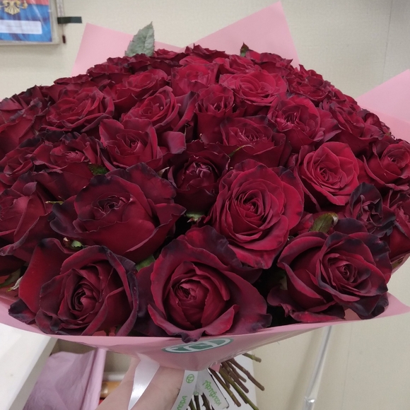 Букет из 51 красной розы 40 см (РФ)