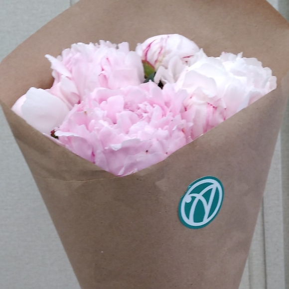 Букет из 5 розовых пионов (Голландия)