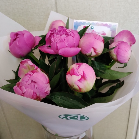 Букет из 7 малиновых пионов (Россия)