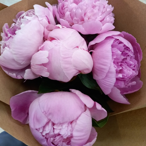 Букет из 5 розовых пионов (Голландия)