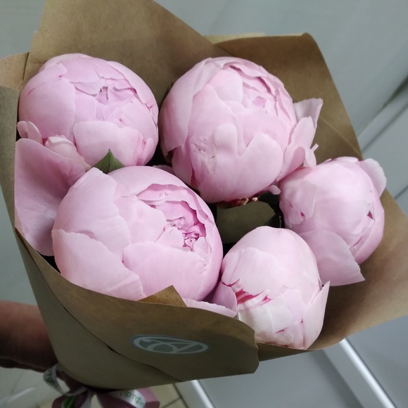 Букет из 5 розовых пионов (Голландия)