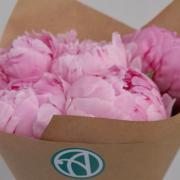Букет из 5 розовых пионов (Голландия)