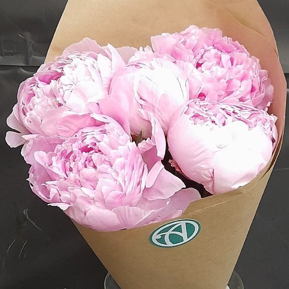 Букет из 5 розовых пионов (Голландия)
