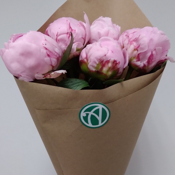 Букет из 5 розовых пионов (Голландия)