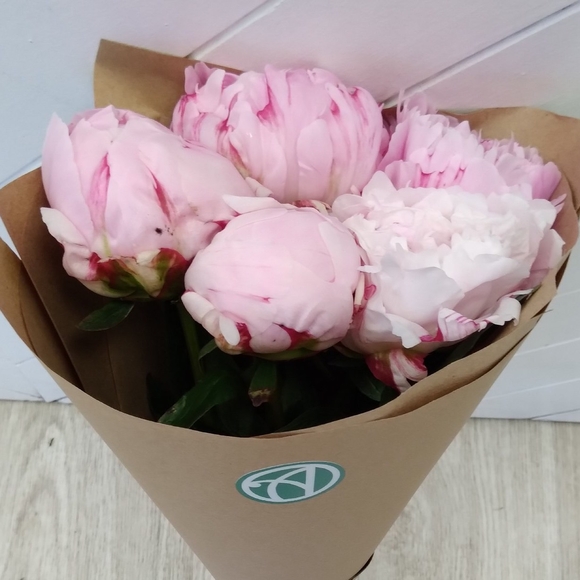 Букет из 5 розовых пионов (Голландия)