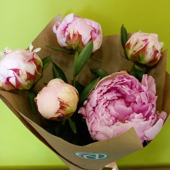 Букет из 5 розовых пионов (Голландия)