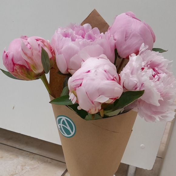 Букет из 5 розовых пионов (Голландия)