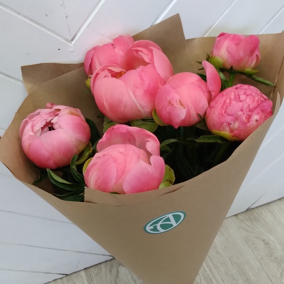 Букет из 7 коралловых пионов (Голландия)