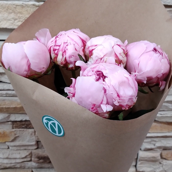 Букет из 5 розовых пионов (Голландия)