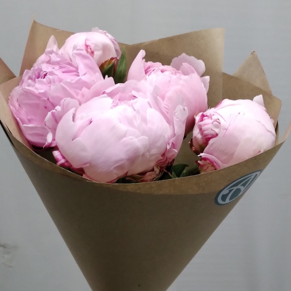 Букет из 5 розовых пионов (Голландия)