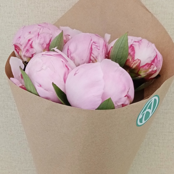 Букет из 5 розовых пионов (Голландия)