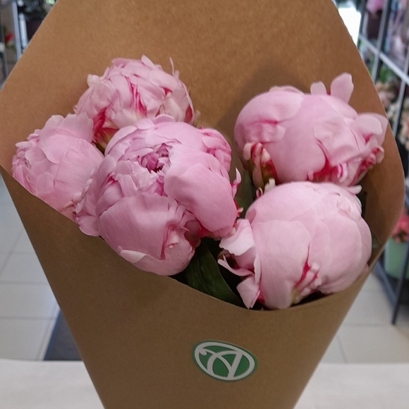 Букет из 5 розовых пионов (Голландия)