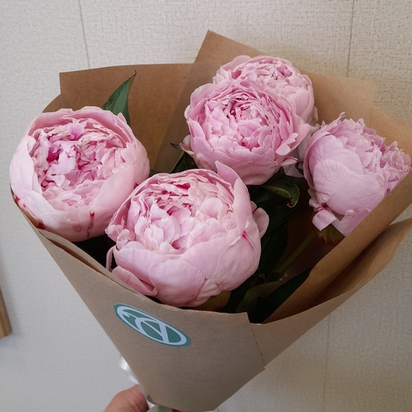 Букет из 5 розовых пионов (Голландия)