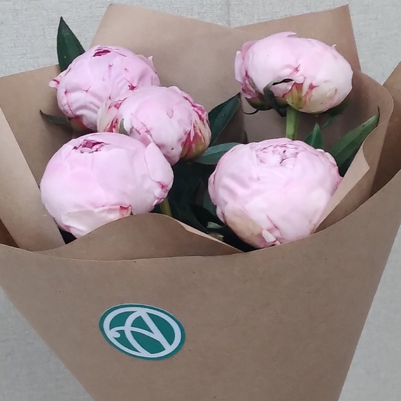 Букет из 5 розовых пионов (Голландия)