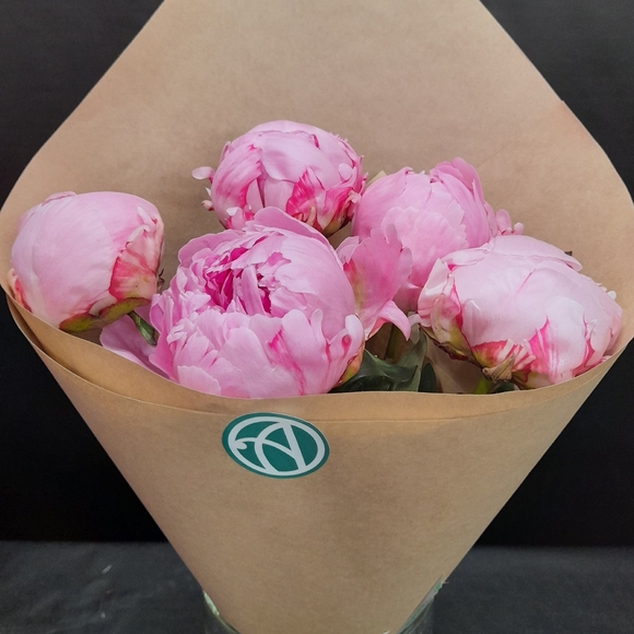 Букет из 5 розовых пионов (Голландия)