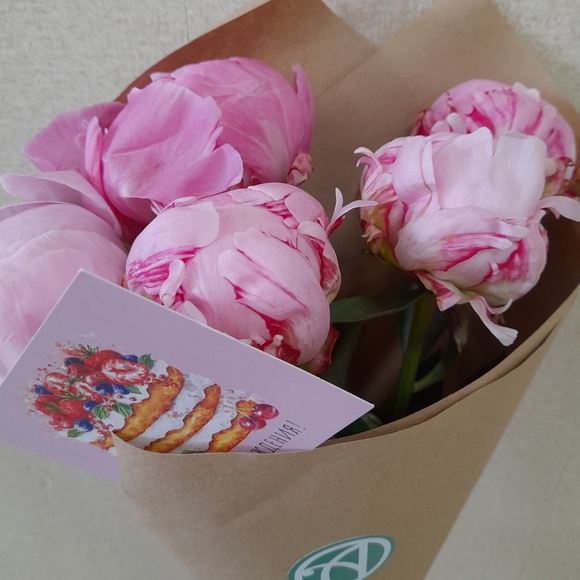 Букет из 5 розовых пионов (Голландия)