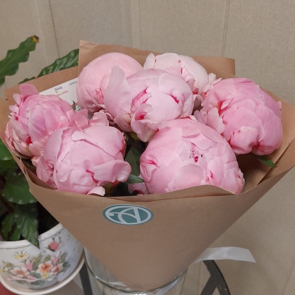 Букет из 7 розовых пионов (Голландия)
