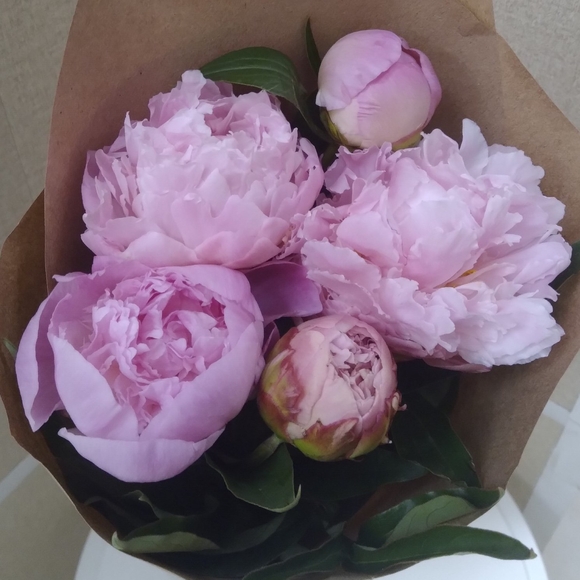 Букет из 5 розовых пионов (Голландия)