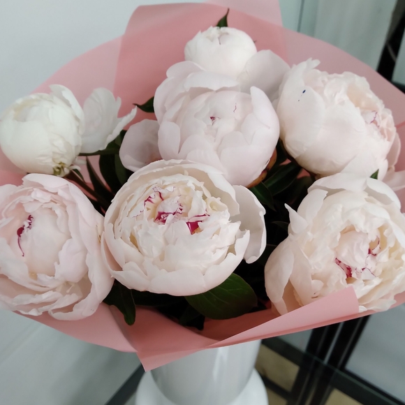 Букет из 7 белых пионов (Голландия) 