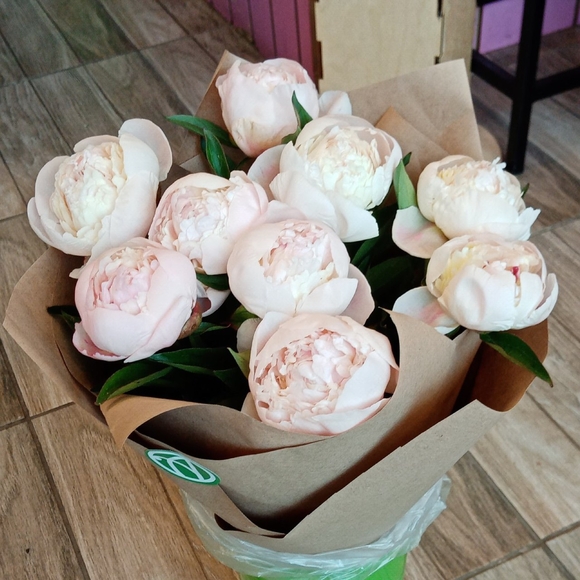 Букет из 9 белых пионов (Голландия) 