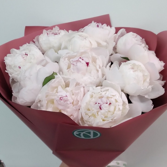 Букет из 9 белых пионов (Голландия) 