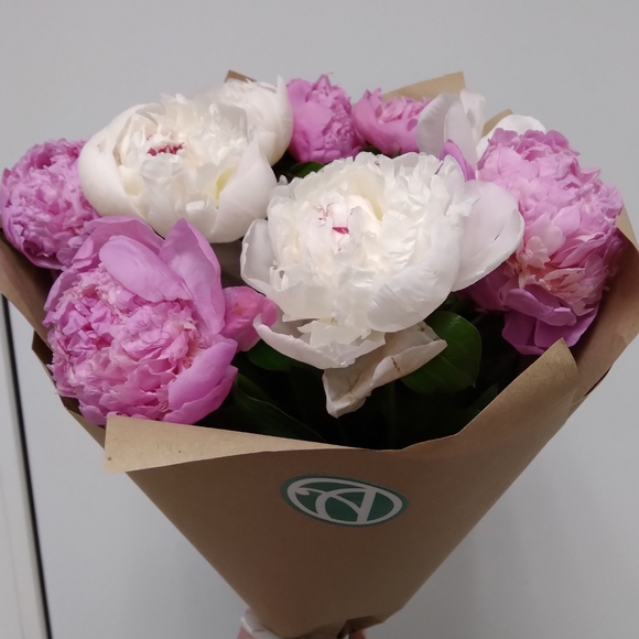 Букет из 9 пионов микс (Голландия)