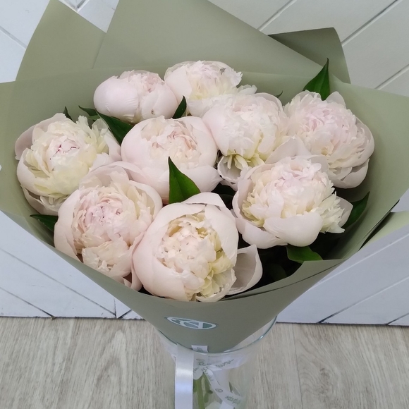 Букет из 9 белых пионов (Голландия) 