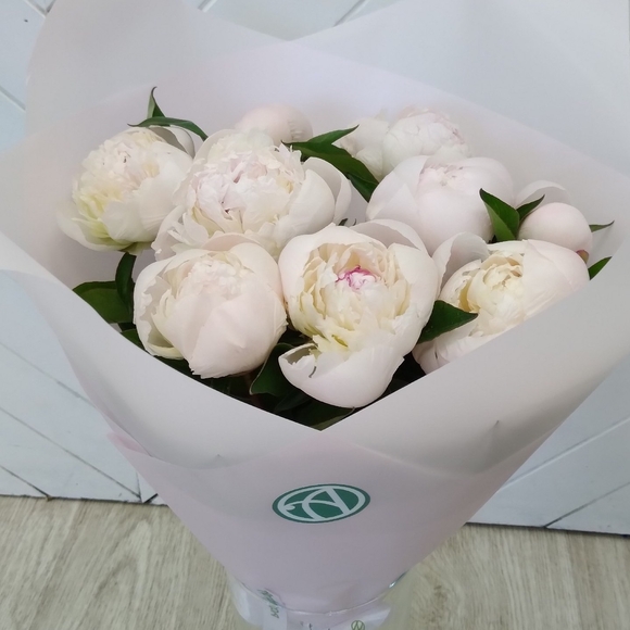 Букет из 9 белых пионов (Голландия) 