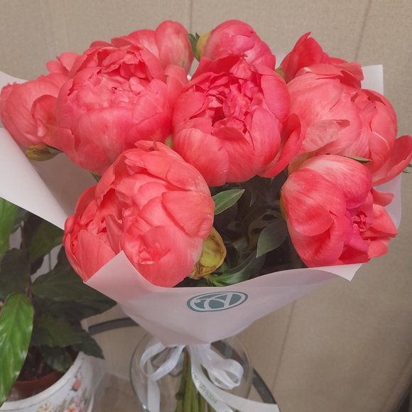 Букет из 7 коралловых пионов (Голландия)