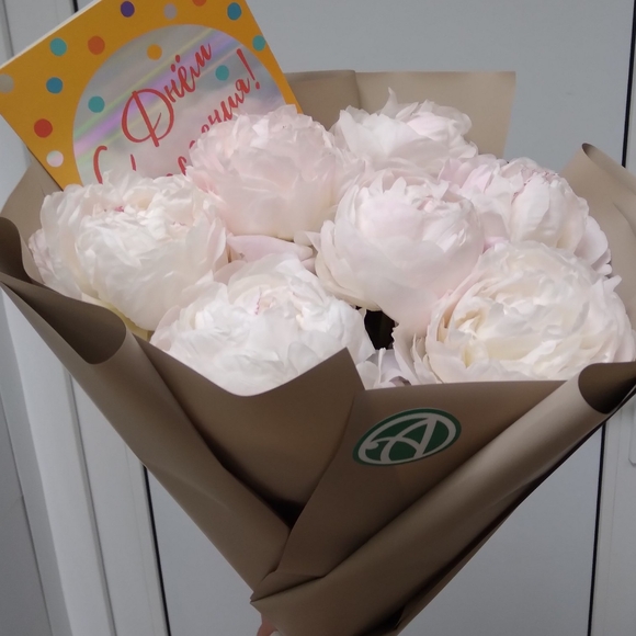 Букет из 7 белых пионов (Голландия) 