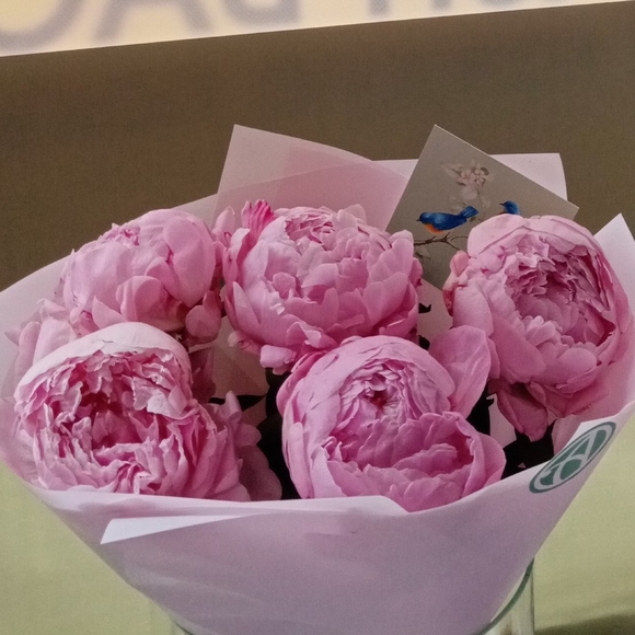 Букет из 5 розовых пионов (Голландия)