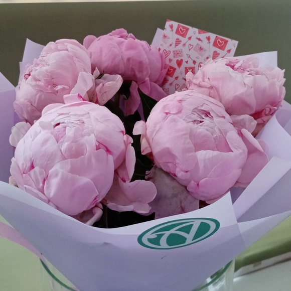 Букет из 5 розовых пионов (Голландия)