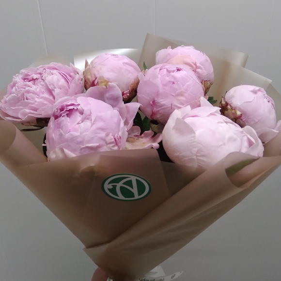 Букет из 7 розовых пионов (Голландия)
