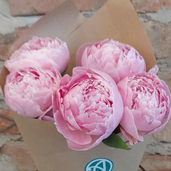 Букет из 5 розовых пионов (Голландия)